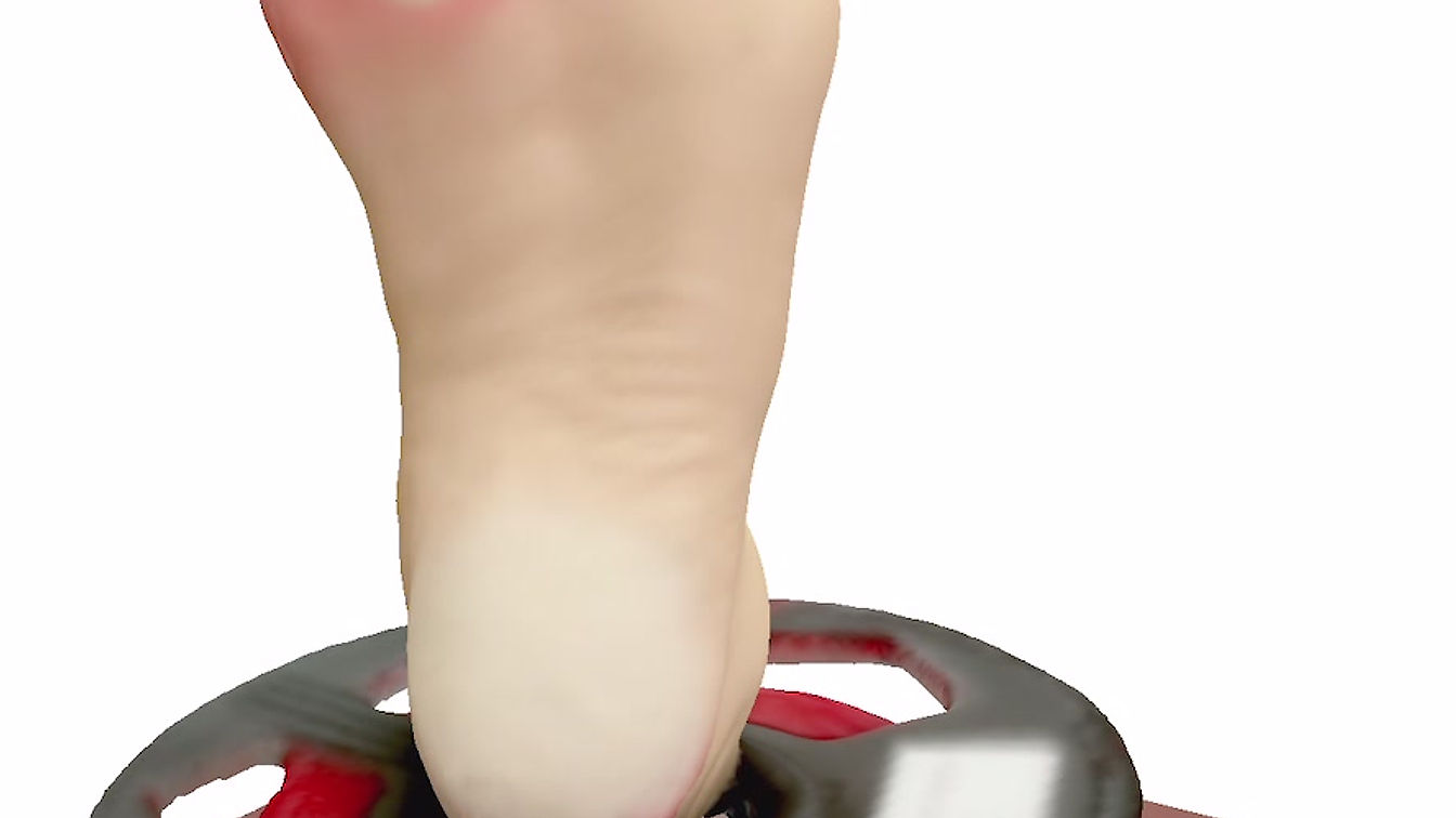 SureScan 3D app: scan foot model